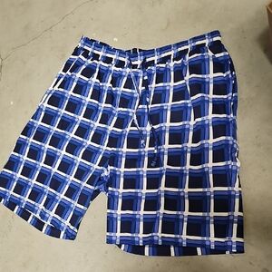 Nwot 100% Cotton Blue and White Checkered Shorts